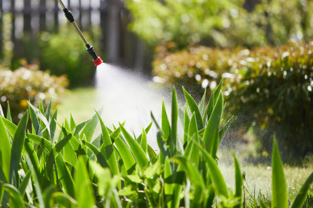 24/7 Emergency Mosquito Control experts in Emigration Canyon, UT